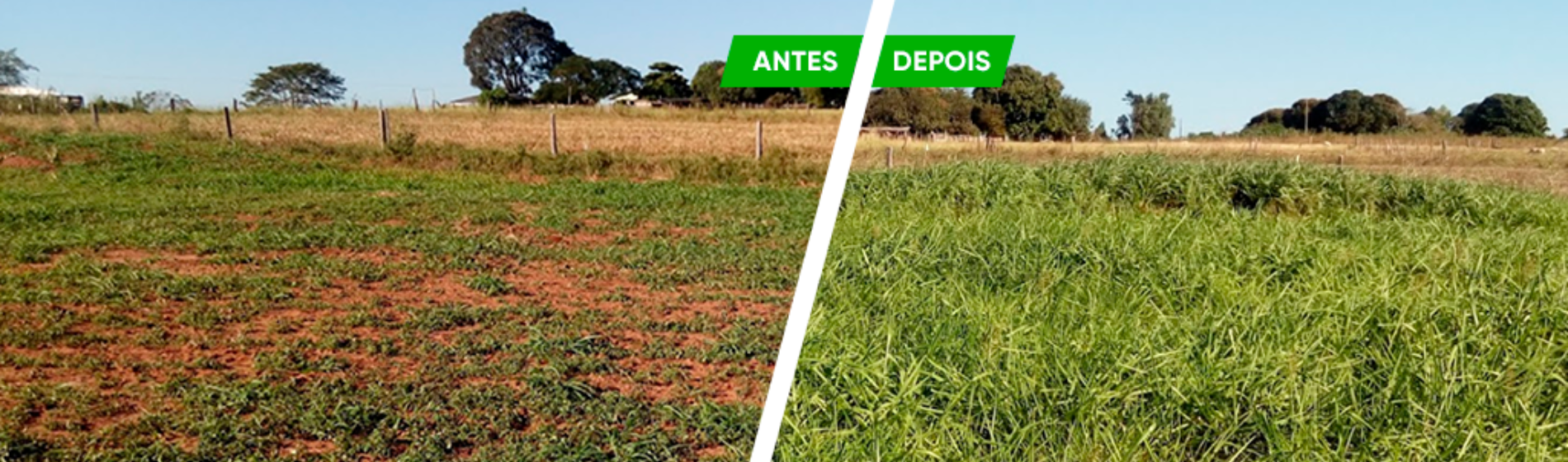 Antes e depois