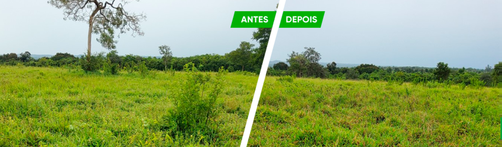 Antes e depois