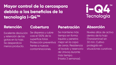 Univoq Registro Excepcional Remolacha