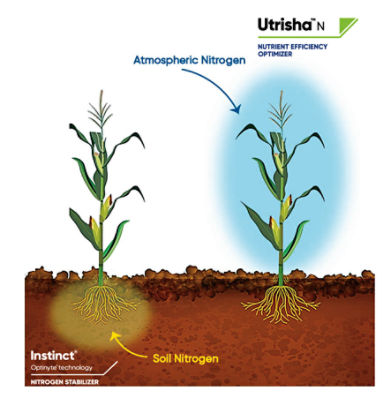 IMG-Utrisha-N-Corteva-V1