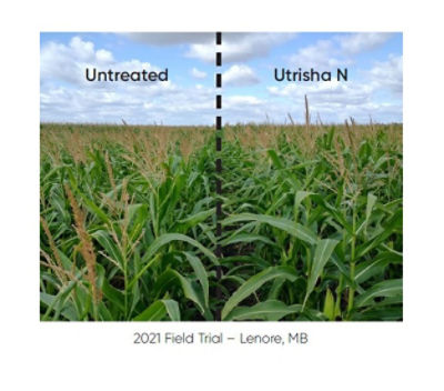 utrisha yield comparison