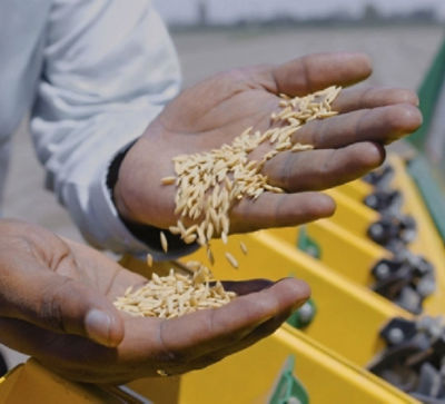 La valeur ajoutée Corteva