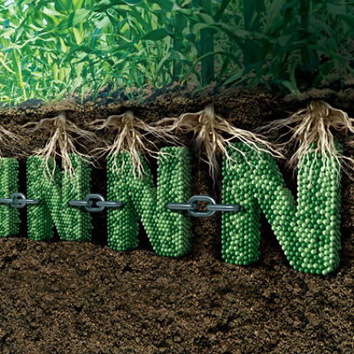 IMG-WWW_3000 X 3000_N LOCK-Corteva-EU-BG-V1