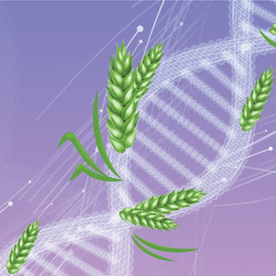 IMG-WWW_3000 X 3000_NEW INOVOR-Corteva-EU-BG-V1