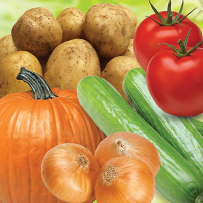 IMG-WWW_3000X3000_NEW Curzate-Coretva-EU-BG