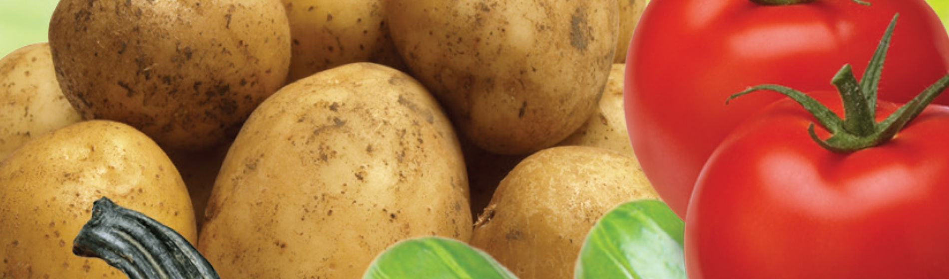 IMG-WWW_3000X3000_NEW Curzate-Coretva-EU-BG