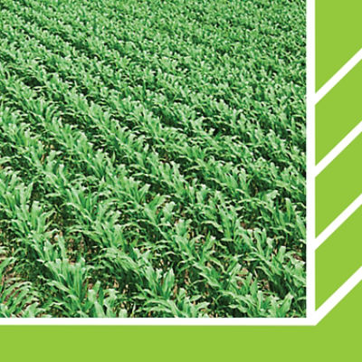 IMG-WWW_3000X3000_NEW_Utrisha-Corteva-EU-BG-V1