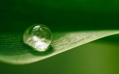 IMG-Web_Hero_Carousel-Water Droplet-square2-AP-JP.jpg