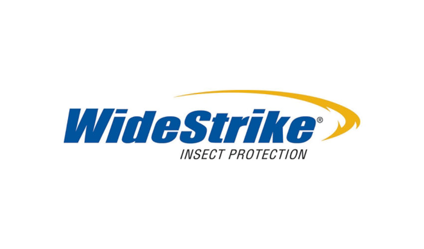 WideStrike resized padded logo