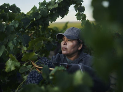 Woman_in_Grapes