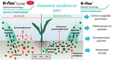 IMG-Work-Corteva-EU-BG-V1.