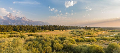 Wyoming landscape