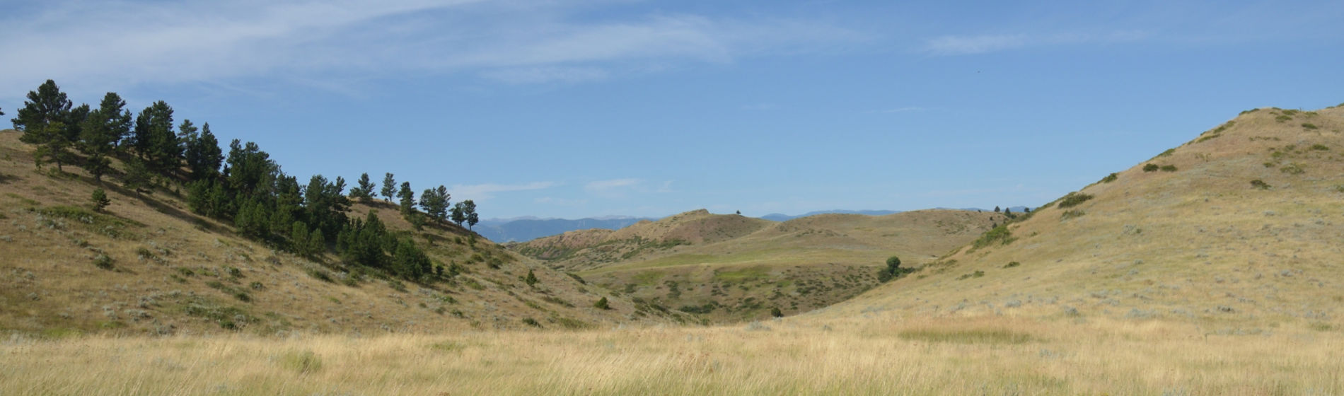 Wyoming rangeland