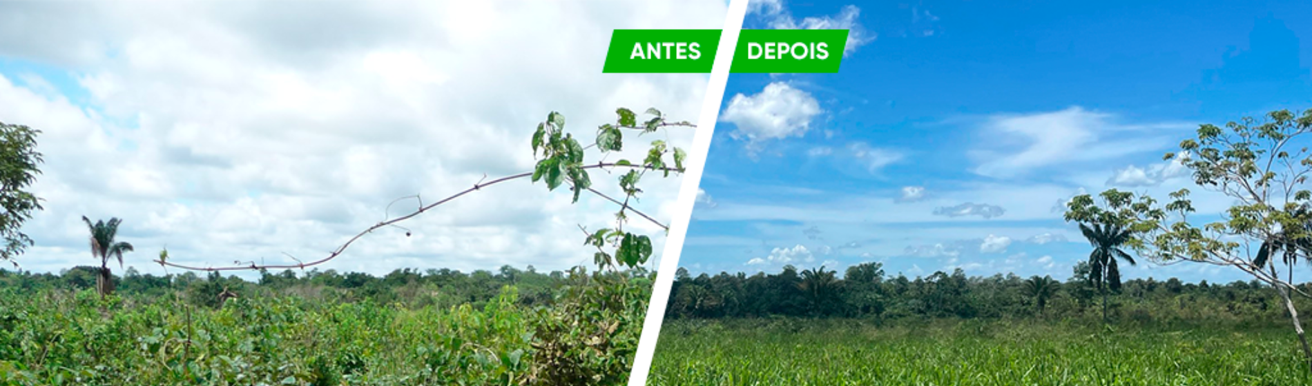 Antes e depois