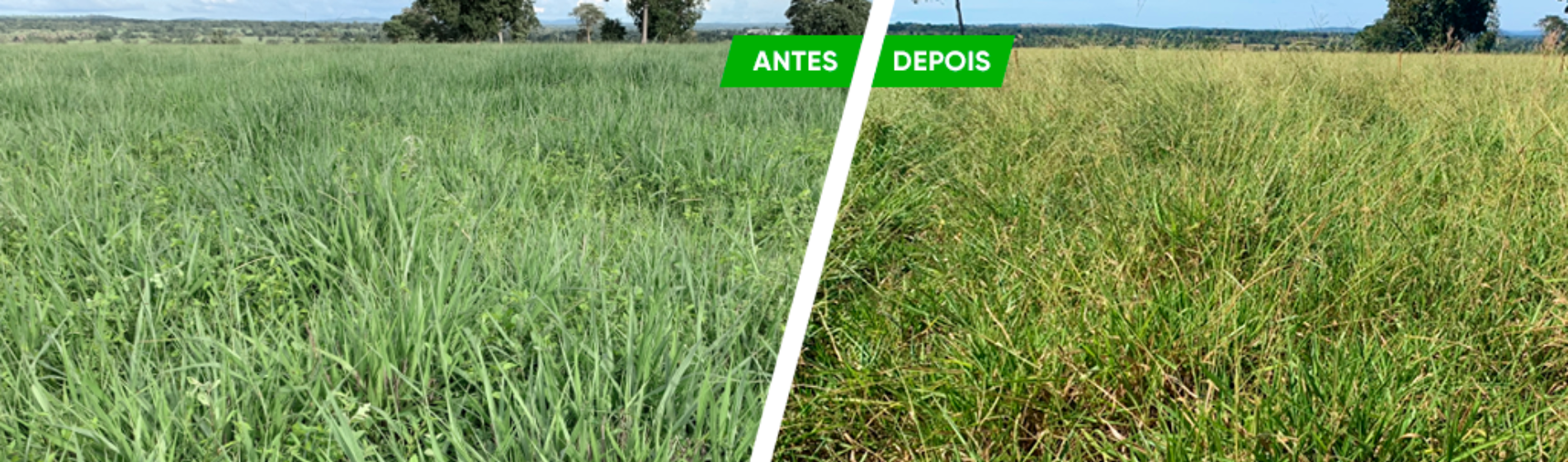 Antes e depois