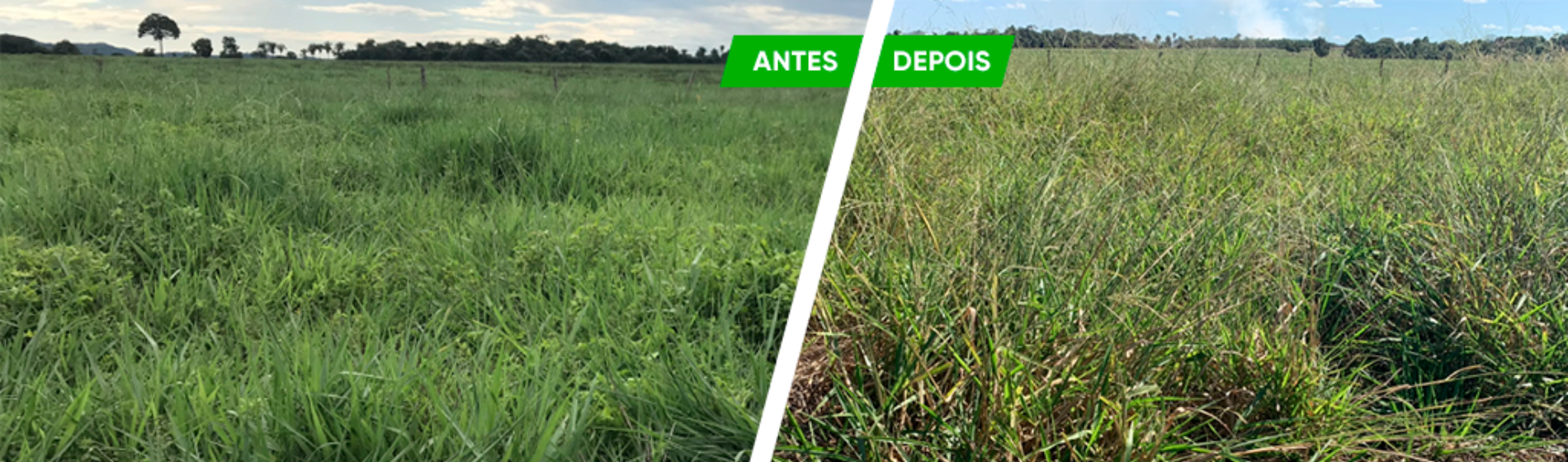 Antes e depois