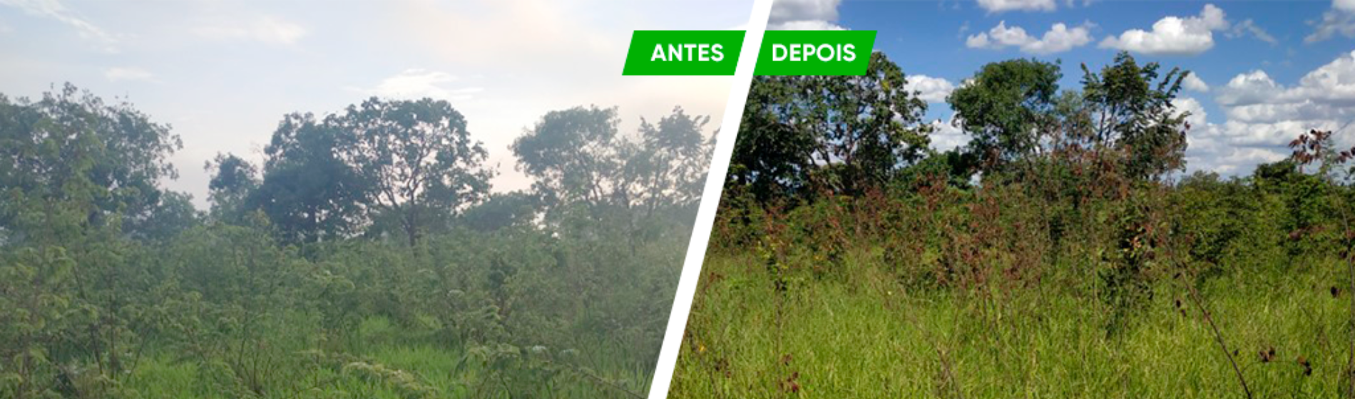 Antes e depois