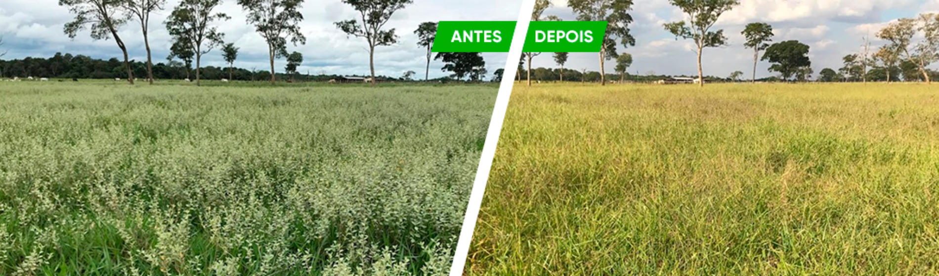 Antes e depois