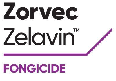Zorvec Zelavin® Fongicide Corteva France
