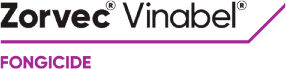 Brand_Logo