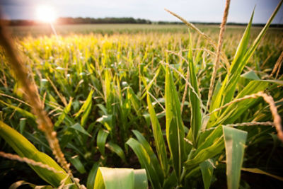 Toughness and resilience - AQUAmax