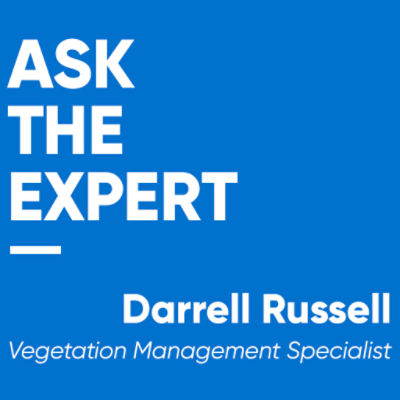 A blue square with the workds Ask the expert and Darrel Russel, Vegetation Management Specialist on it