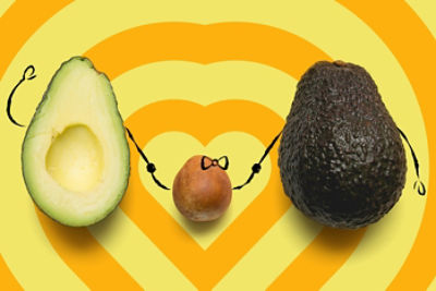Two halves of an avocado with the seed in the middle. Drawing of hands from the two halves and seed are holding each other.