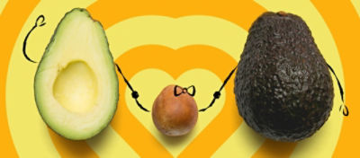 Two halves of an avocado with the seed in the middle. Drawing of hands from the two halves and seed are holding each other.