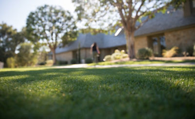 Backyard of house with closeup of grass and trees