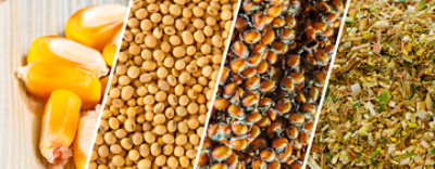 Imagem Produtos Brevant