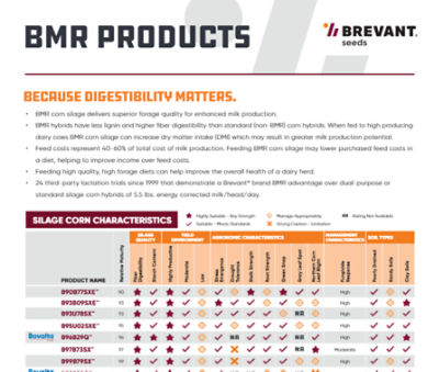 BMR Product Characteristics