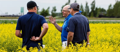 Men in canola field