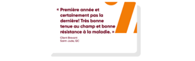 “Premiére année et certainment pas la derniere! Trés bonne tenue au champ et bonne résistance à la maladie” 