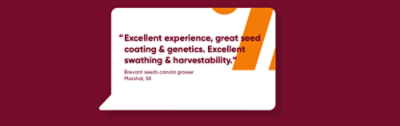 Excellent experience, great seed coating & genetics. Excellent swathing & harvestability