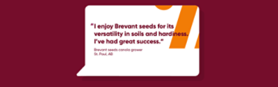 I enjoy Brevant seeds for its versatility in soils and hardiness. I’ve had great success.