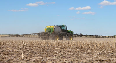 Burndown in corn field