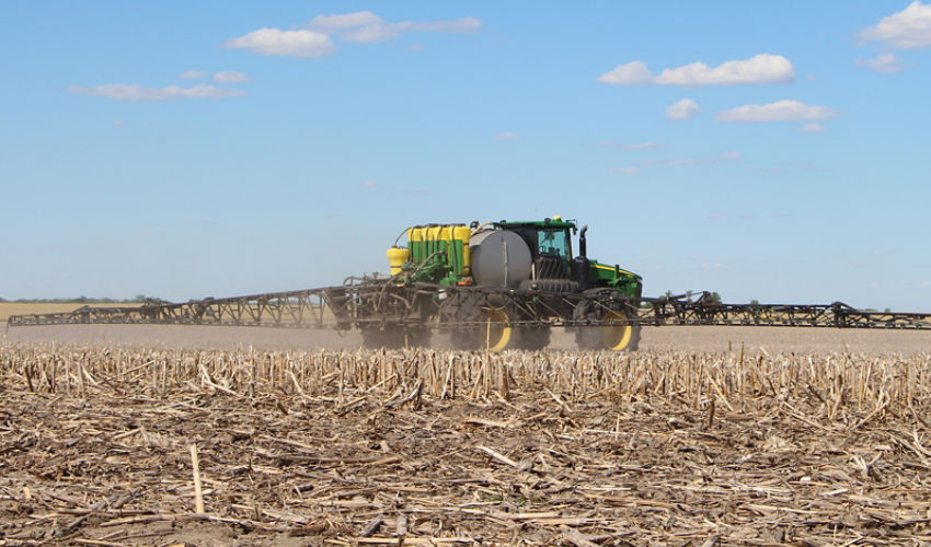Burndown in corn field