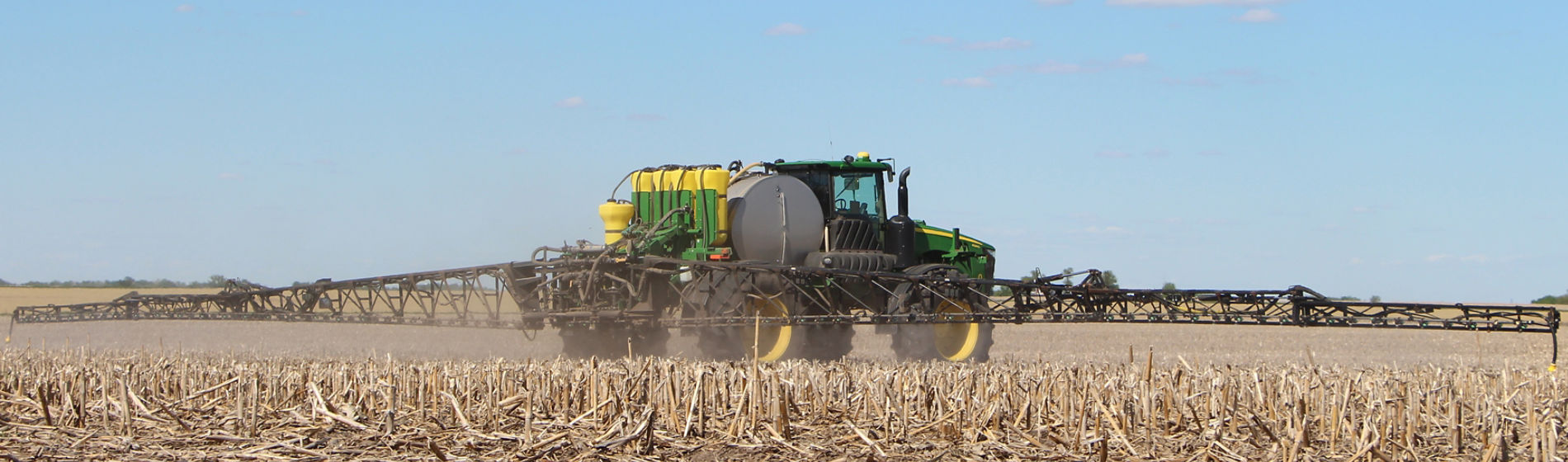 Burndown in corn field