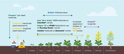 Corteva Canola solutions