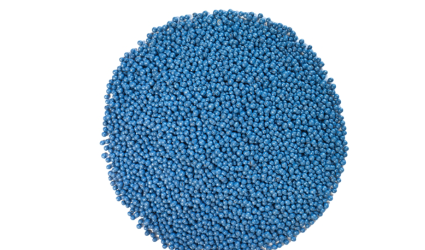 Treated canola seed