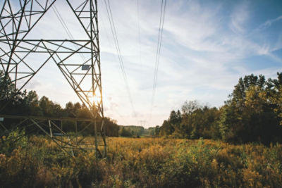 Clear powerlines - Mechanical Control article