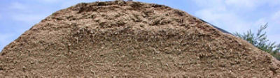 Comment obtenir un ensilage de qualité dès dix jours ?