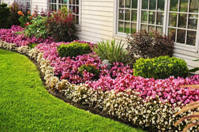 Image if fliwer beds iutside a cimmercial building