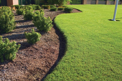 Commercial outdoor space