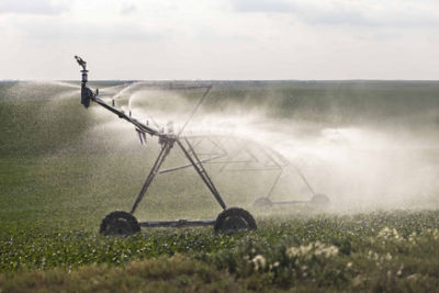 Corn Plant Population Research – Water-Limited Environments