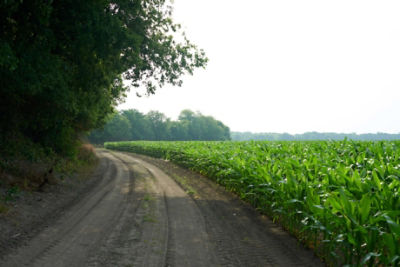 2022 Pro Farmer Crop Tour - Day 3