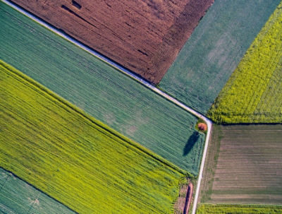 fields from above