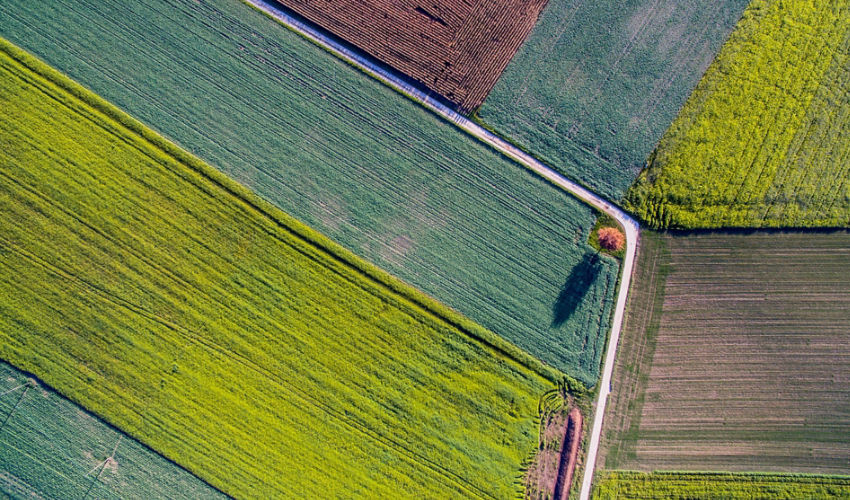 fields from above