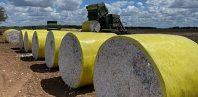 Cotton bales