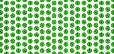 decorative soybean image